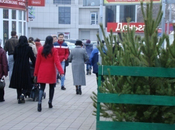 Где в Краснодаре купить новогоднюю ёлку и игрушки