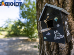 Главное в Краснодаре: школьники не вмещаются в автобусы, НЛО пугает горожан, за смерть «каннибала» платят, а местные прогоняют туристов