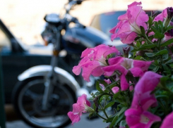 В Туапсе байкеры поздравили женщин с 8 марта