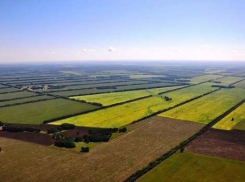  «Агрокомплекс» вернул кубанским фермерам их законные земли 