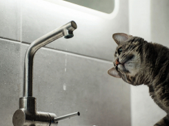 Почти семь тысяч краснодарцев остались без воды из-за ремонта