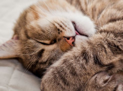 На Кубани столбики термометров ночью обрушатся до 10°С