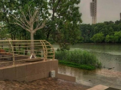 Утопленные миллионы. Дмитровский сквер в Краснодаре ушел под воду после окончания дорогостоящей реконструкции