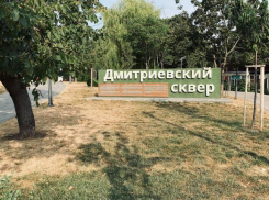 Дмитриевский сквер в Краснодаре погиб после благоустройства за 128 млн руб