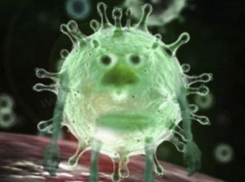 «А что происходит?»: мемы краснодарцев про забытый коронавирус взрывают соцсети