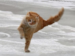 Мокрый снег, дождь и сильный ветер ожидают жителей Кубани в воскресенье