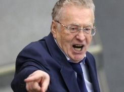 Жириновский хочет «своего человека» на пост мэра Сочи