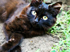  В Краснодарском крае похолодает