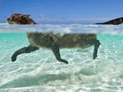 В День России в Краснодаре будет тепло и без осадков