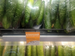 В Краснодаре огурцы подорожали до 675 рублей