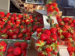 Цена на клубнику в Краснодаре добралась до 830 рублей за килограмм