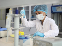 Страшные цифры: на Кубани COVID-19 обнаружили еще у 257 человек