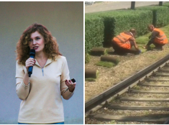 Главный архитектор Краснодара объяснила укладку газона в период карантина