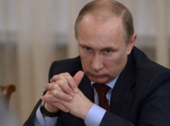 «Владимир Путин - великий стратег», - депутат гордумы Краснодара о ситуации в Сирии