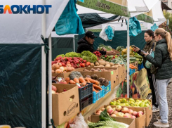 Первые в 2025 году ярмарки выходного дня заработают в Краснодаре 11 января