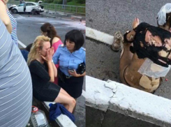 Стали известны подробности жуткого ДТП с горящим BMW X6 в Сочи