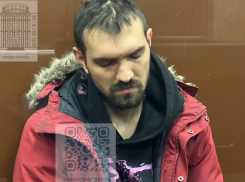 Комика Останина* из Краснодарского края будут судить по двум статьям УК 