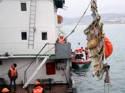 Разгадку тайны крушения Ту-154 под Сочи эксперты назвали «полным бредом» 