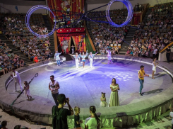 В Краснодаре появится цирк-шапито