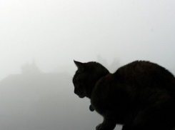 В понедельник в Краснодарском крае будет туманно и тепло