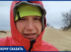 « Берег усыпан мертвыми птицами», - житель Анапы поднял тревогу из-за массовой гибели пернатых