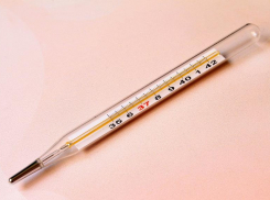 В Роспотребнадзоре Кубани прокомментировали протесты родителей школьников против термометрии