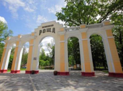 Вырубку берез в Чистяковской роще признали несогласованной