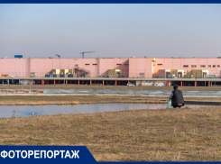 IKEA объявила о прекращении стройки первого парка в России у «Мега Адыгеи»