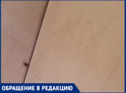 «Дети спят в постели с тараканами»: родители пожаловались на краснодарский детсад