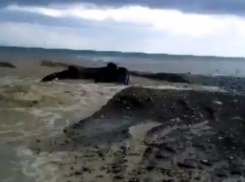 Появились подробности в истории выловленного из Черного моря автомобиля