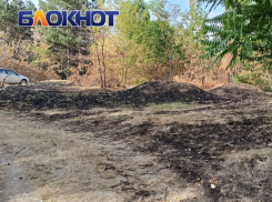 В лесу около Мезмая заблудились двое туристов