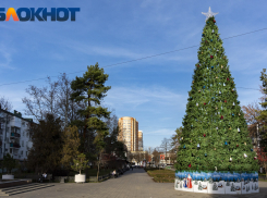 В Краснодаре назвали даты открытия новогодних елок в парках