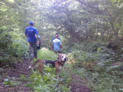  Пропавшего рыбака в Белореченском районе искали 6 часов 