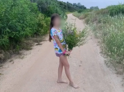 Пропавшая в Темрюке 11-летняя девочка найдена погибшей