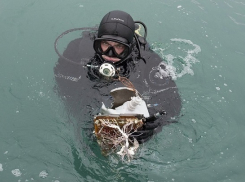 Водолазы нашли еще порядка 40 обломков Ту-154 у берегов Сочи