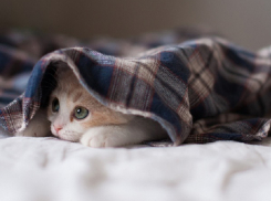 МЧС: На Кубани ожидаются сильные дожди и град 