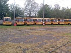 В Краснодаре выделят деньги на закупку 68 школьных автобусов 