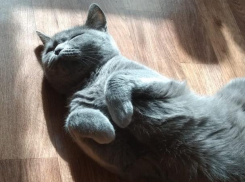 По-осеннему тепло будет в Краснодарском крае 4 декабря