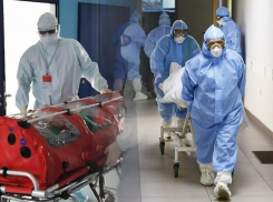 7782 смерти: в Краснодарском крае COVID-19 убивает каждого десятого заболевшего