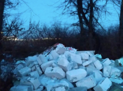 В посёлке Краснодарском лес превратился в место для выгрузки мусора 