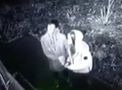 Странные «цветокрады» ломятся в квартиру в Краснодаре