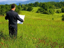 Оборот земель сельскохозяйственного назначения имеет определенную специфику