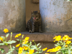 Погода в Краснодаре даст горожанам насладиться уходящим летом