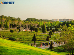 В Краснодаре дожди не сбили экстремальную жару