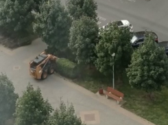 В Московском микрорайоне Краснодара уничтожают кустарники на популярной аллее