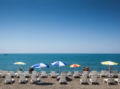 В Сочи отдохнут сирийские дети, изучающие русский язык