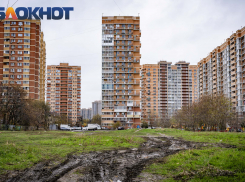 В Краснодаре угрожают пассажирам, разоблачают измены и отмечают Крещение