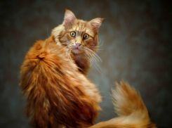 Из зимы в лето: на Кубани перепады температур достигнут 20 градусов