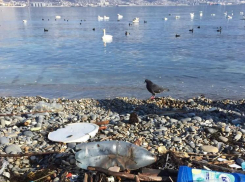 Туристы пожаловались в Общественную палату на грязные пляжи Краснодарского края