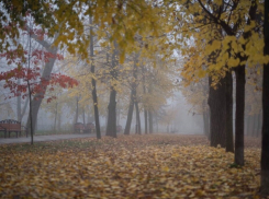 В Краснодаре синоптики обещают дождь и 19 градусов тепла